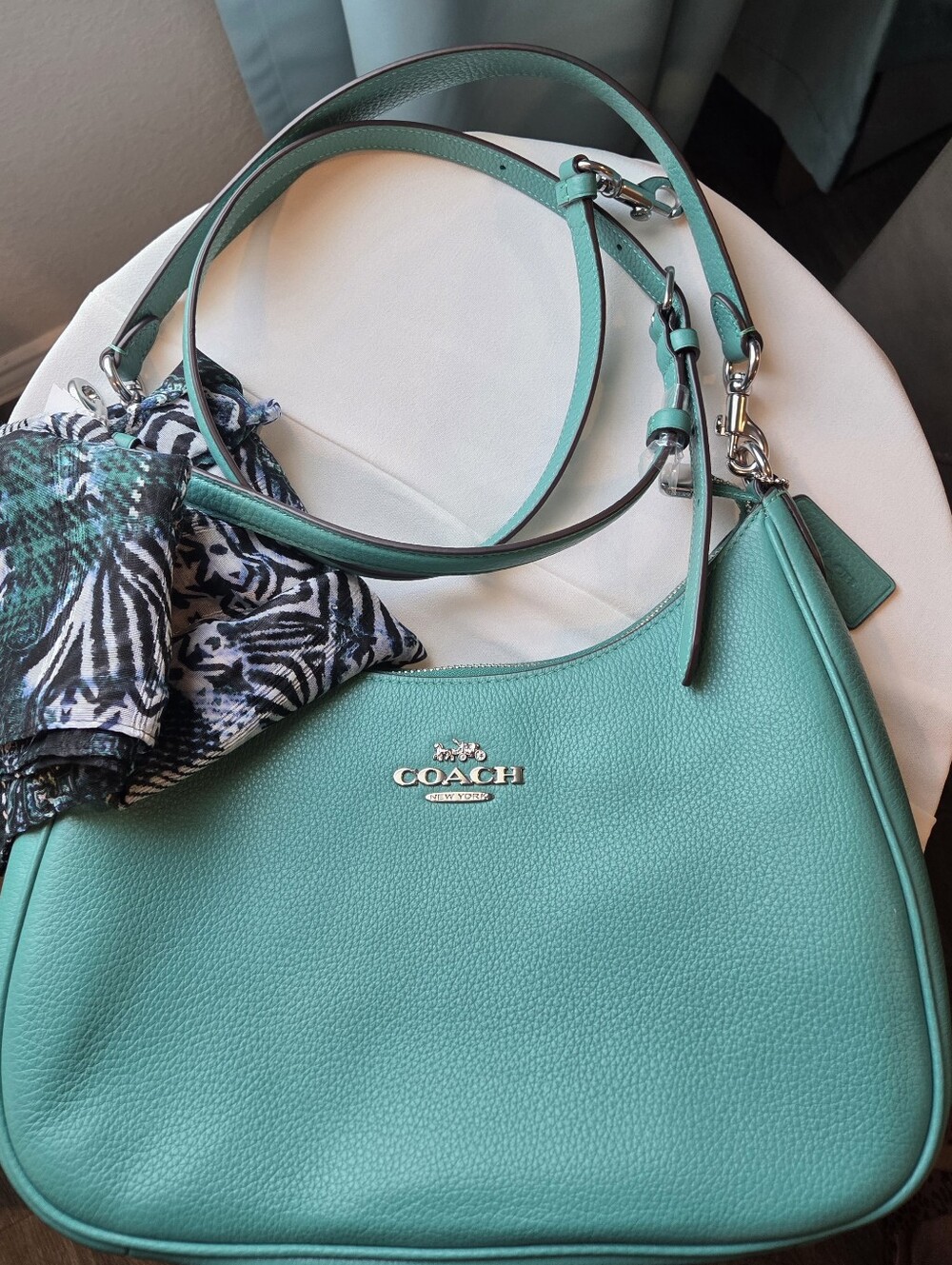 NWT Coach Teri Hobo